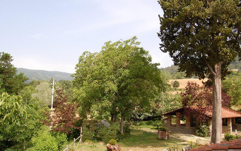 Vila Agriturismo Il Piano Pratovecchio Exteriér fotografie